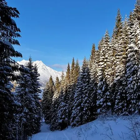 Leilighet Face Of North