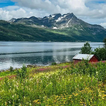 Leilighet Face Of North