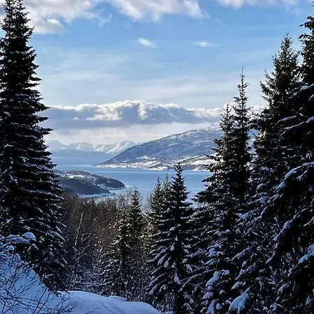 Face Of North Leilighet *