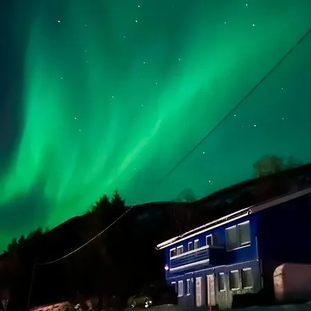 Face Of North * Gratangen