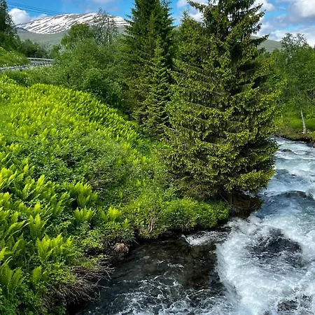 Leilighet Face Of North Gratangen