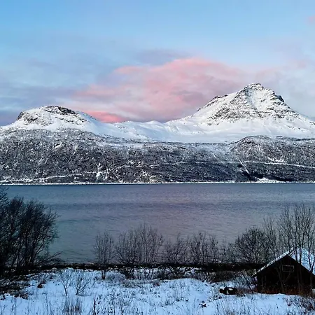 Leilighet Face Of North *