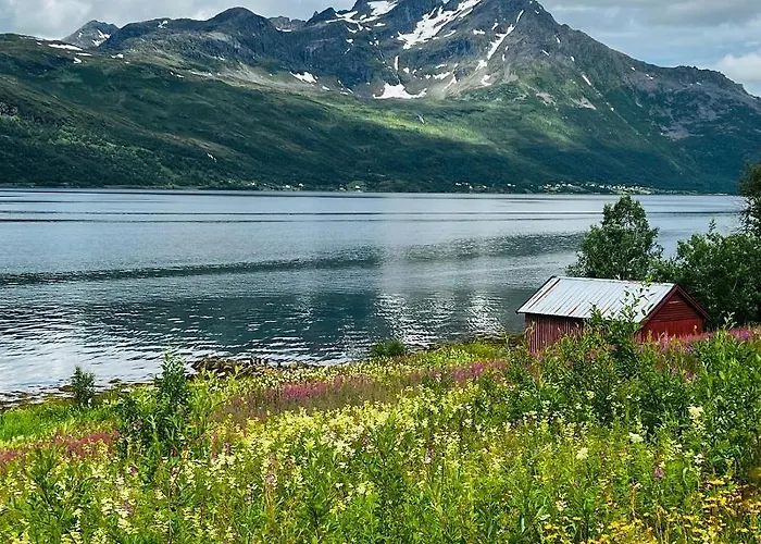 Lejlighed Face Of North