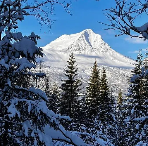 Face Of North * Gratangen